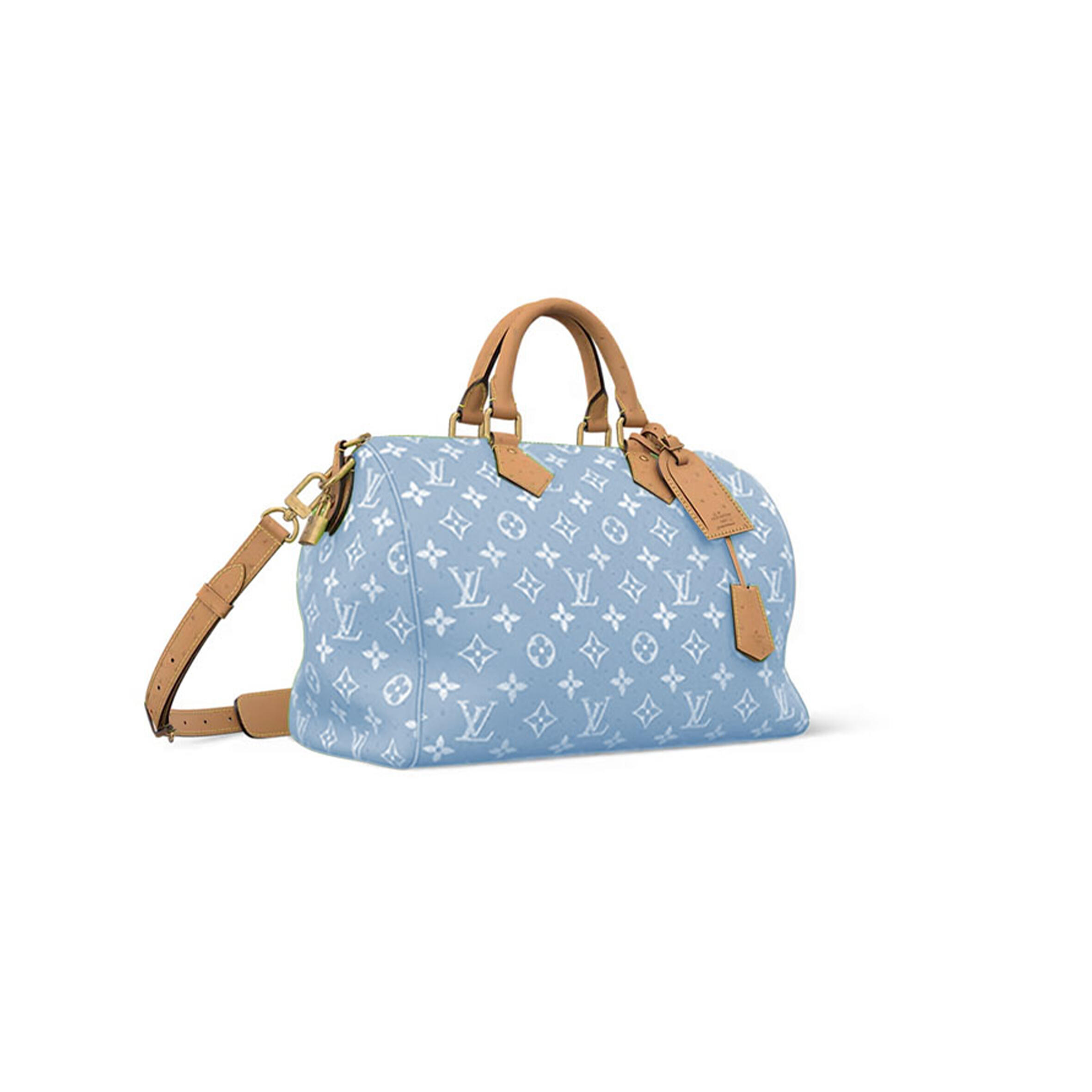 l0vis Vvtt0n master speedy p9 bandouliere 40 n88228 (40*26*23cm)